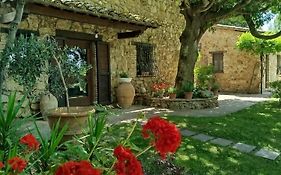 All'Ombra Di San Damiano